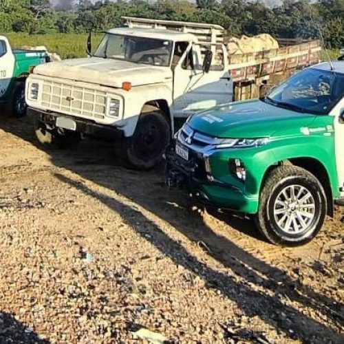 GCM flagra descarte irregular com apoio de drones e prende dois homens na Vila Laurita