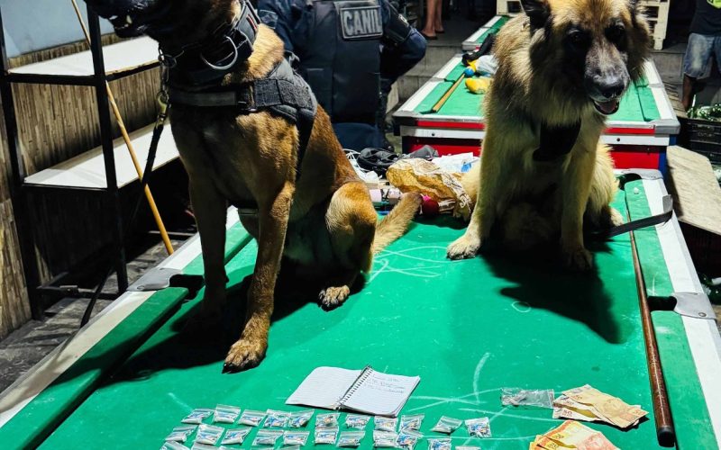 GCM prende dois traficantes, apreende drogas e máquinas caça-níqueis em bar no Macedo