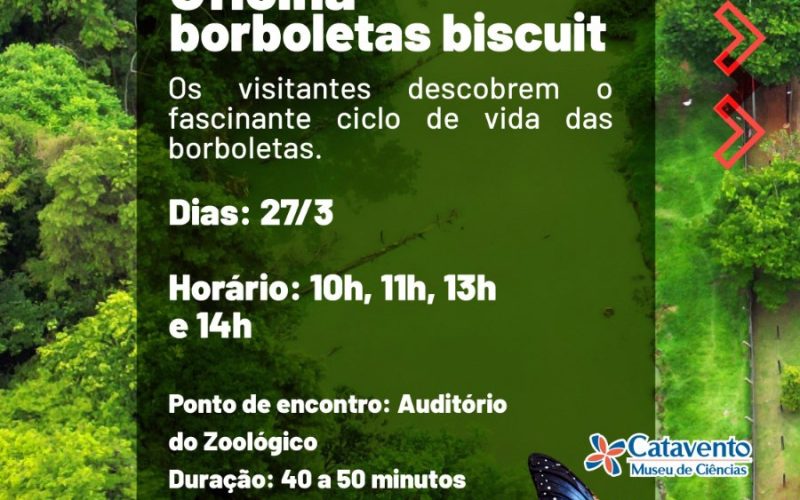 Zoológico e Catavento promovem oficina Borboletas Biscuit nesta sexta-feira