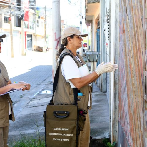 Ações contra o Aedes aegypti alcançam 59 locais em Guarulhos